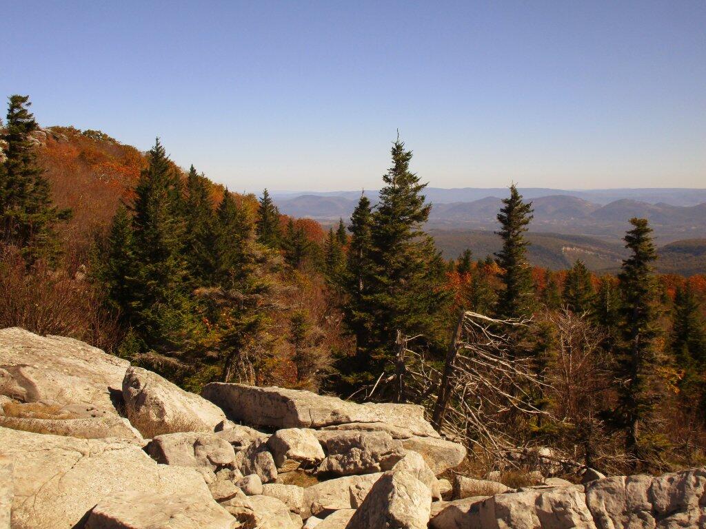  North From Dolly Sods
