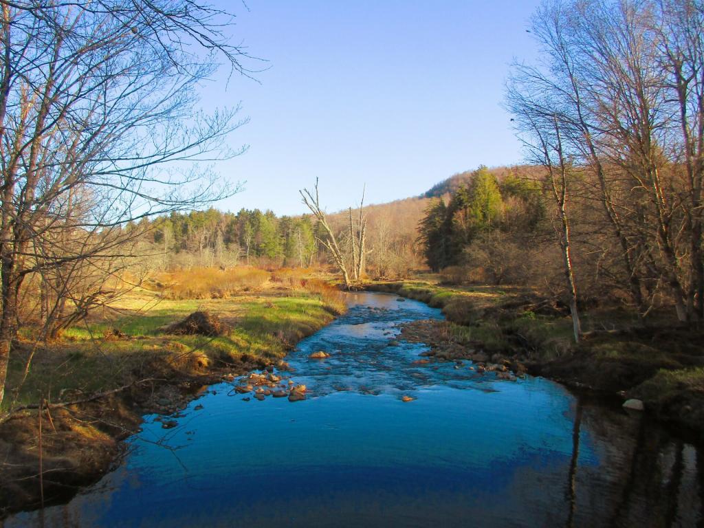 Robb Creek Near the Sacandaga River