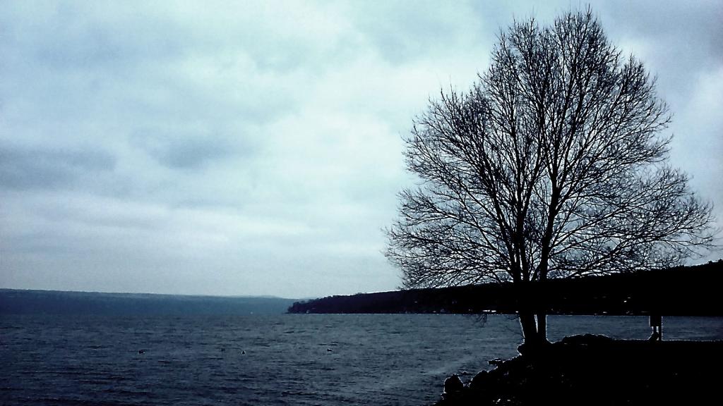Cold and gray December day on Cayuga Lake