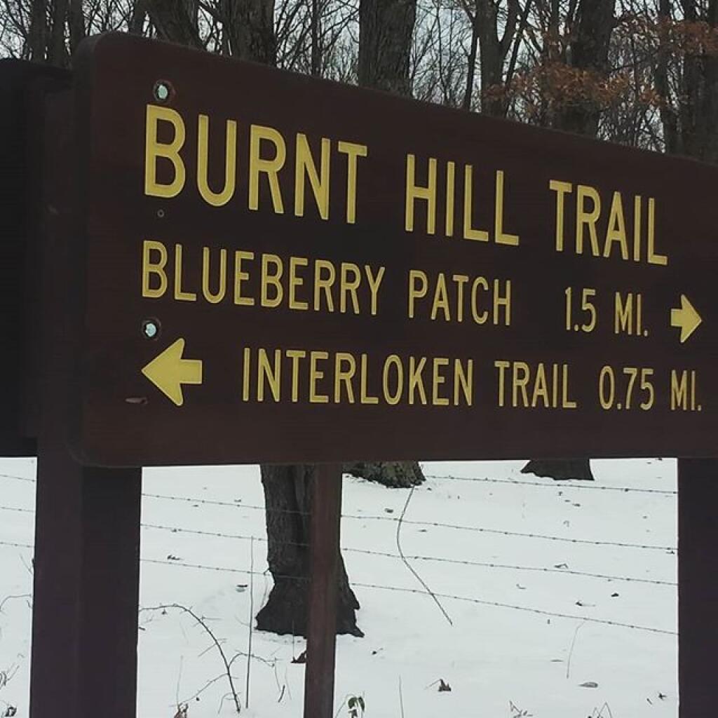 Hiked parts of Backbone, Burnt Hill, Interloken, Ravine Trails