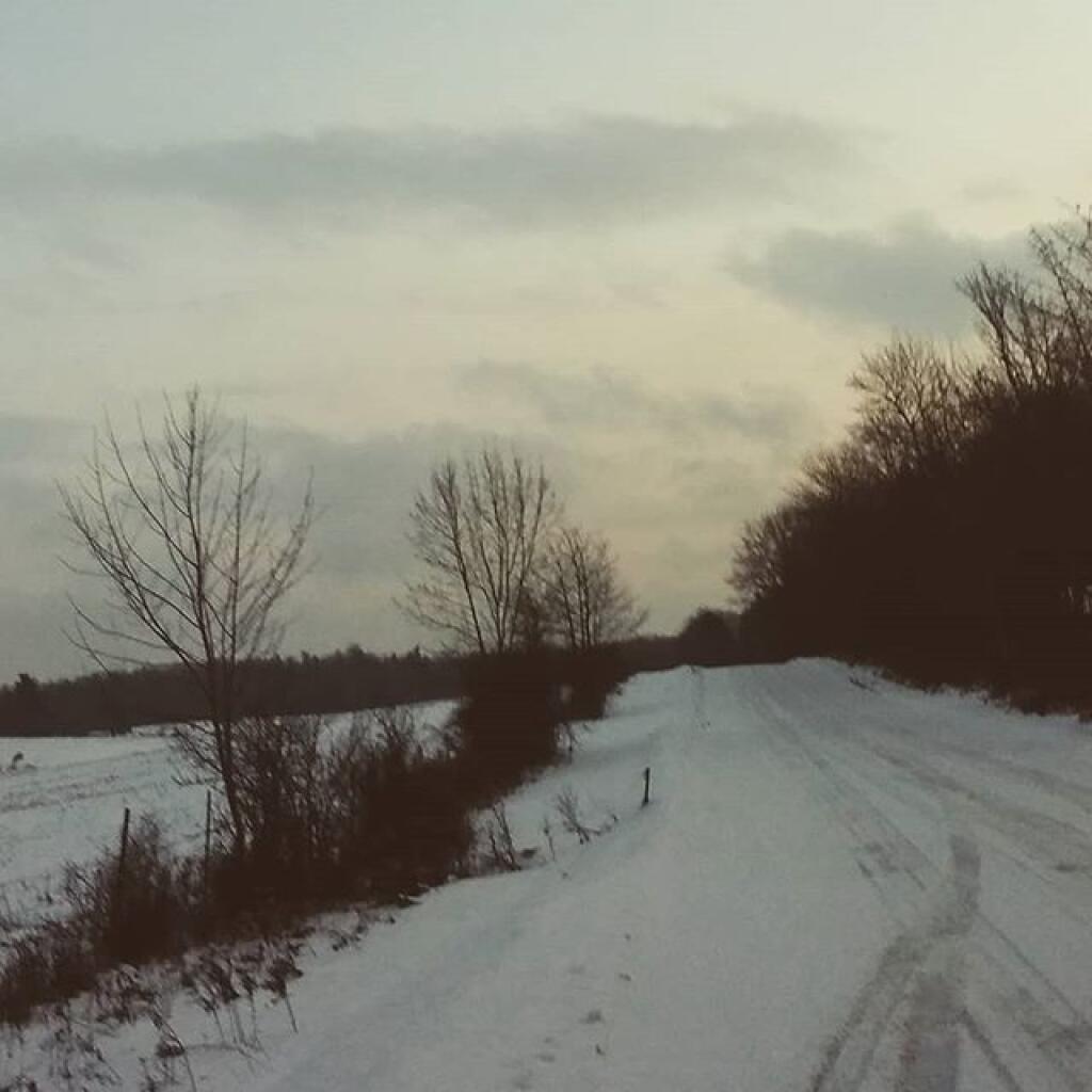 Icy Potomac Road