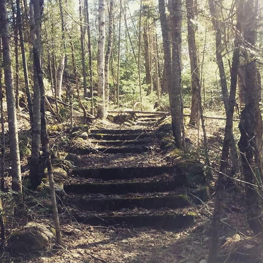 Old Stair Case at Fox Lair