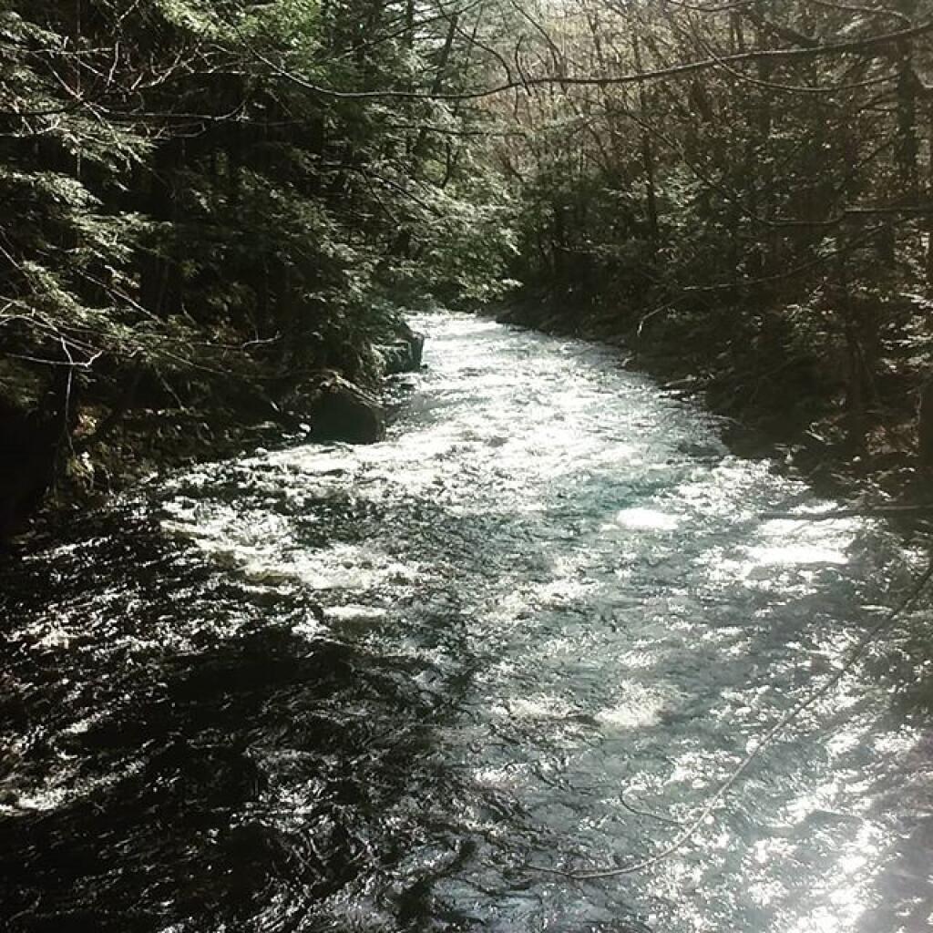 Middle Sprite Creek