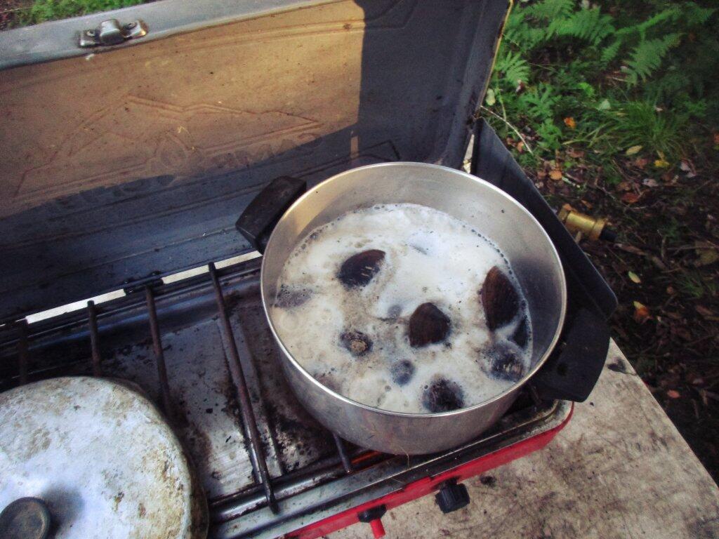 Cooking Clams