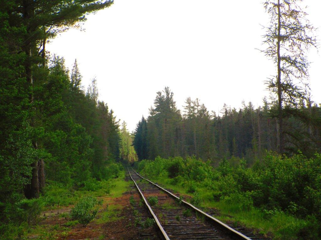 Along The Adirondack Scenic Railroad Tracks