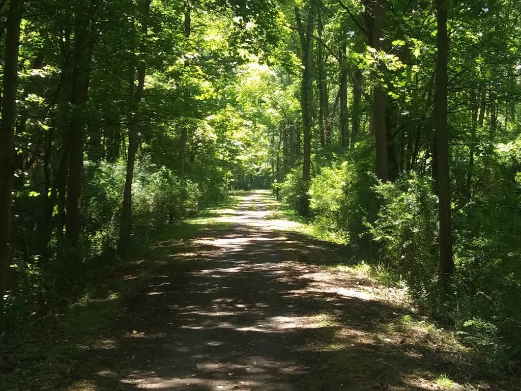 Today I hiked about five miles south of Montour Falls on the Catherine Valley Rail Trail 