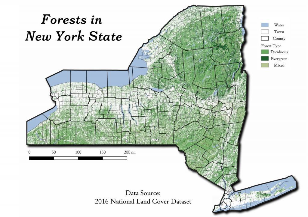 Forests in New York State