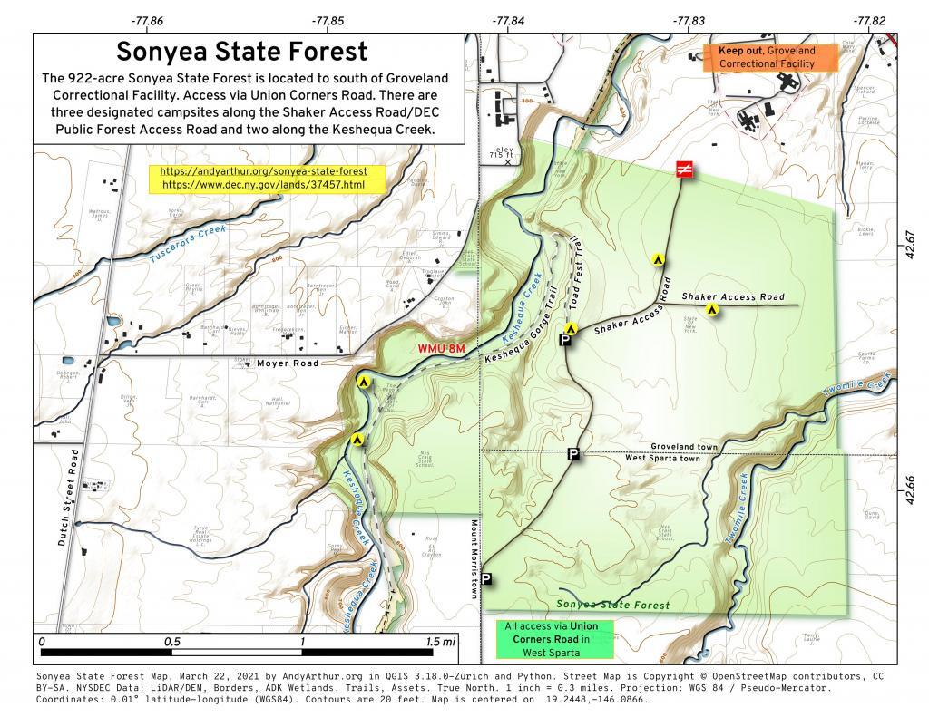 Sonyea State Forest