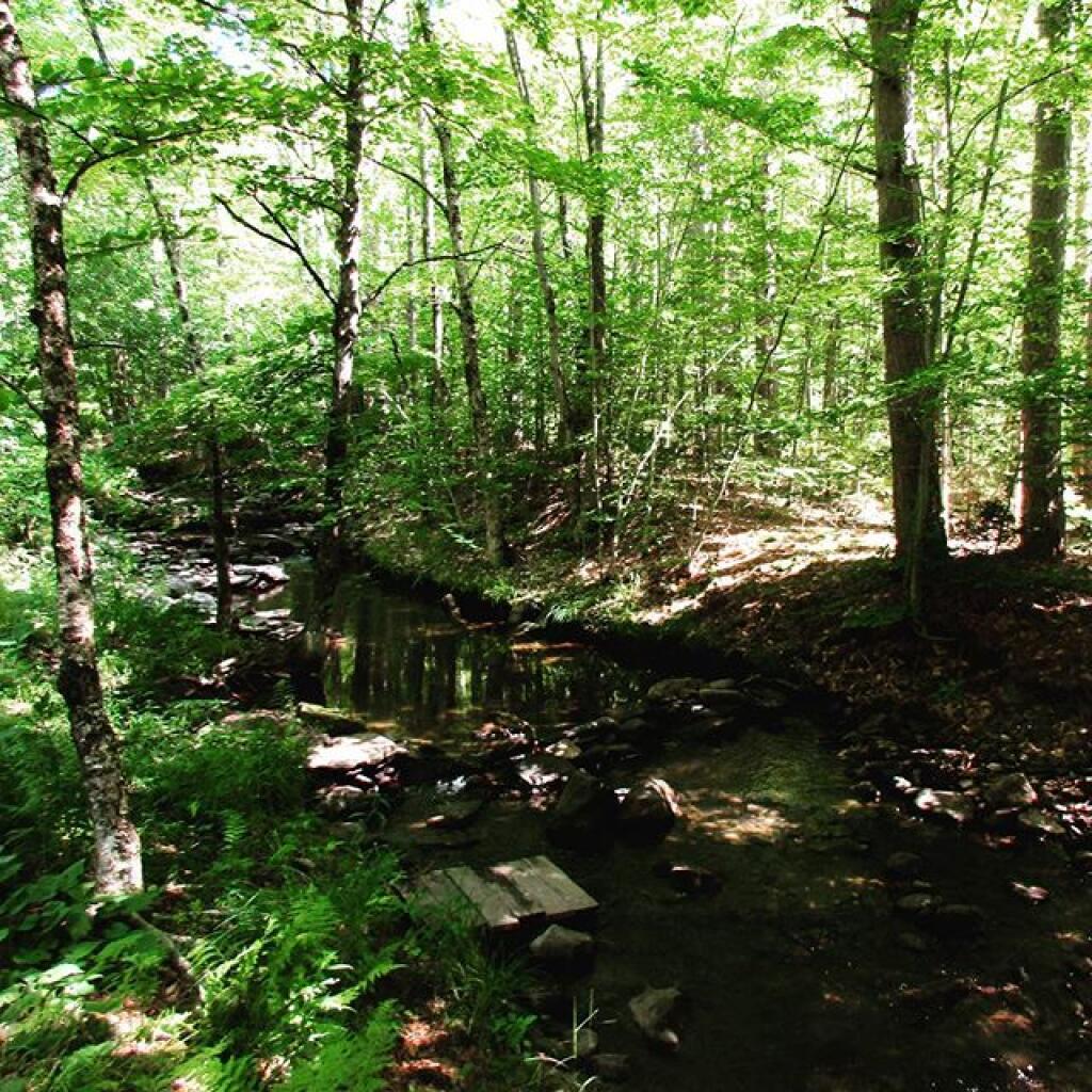 The New Albany Pine Bush Trail System – Andy Arthur.org