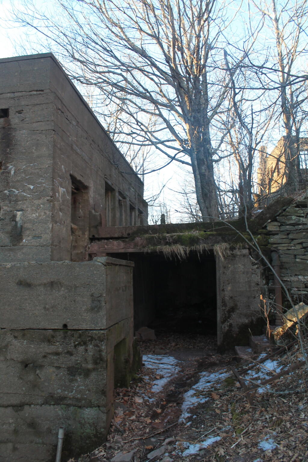 Photo: Basement