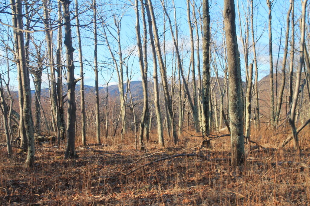 Photo: Devils Path Mountains