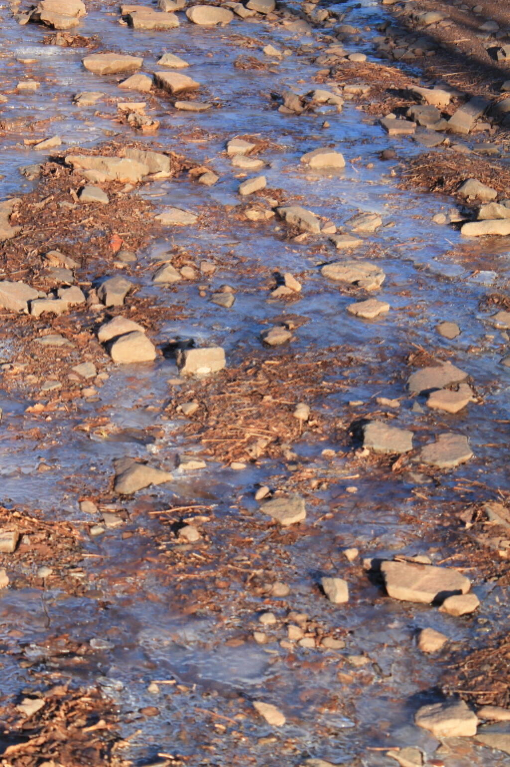 Photo: Icy Trail