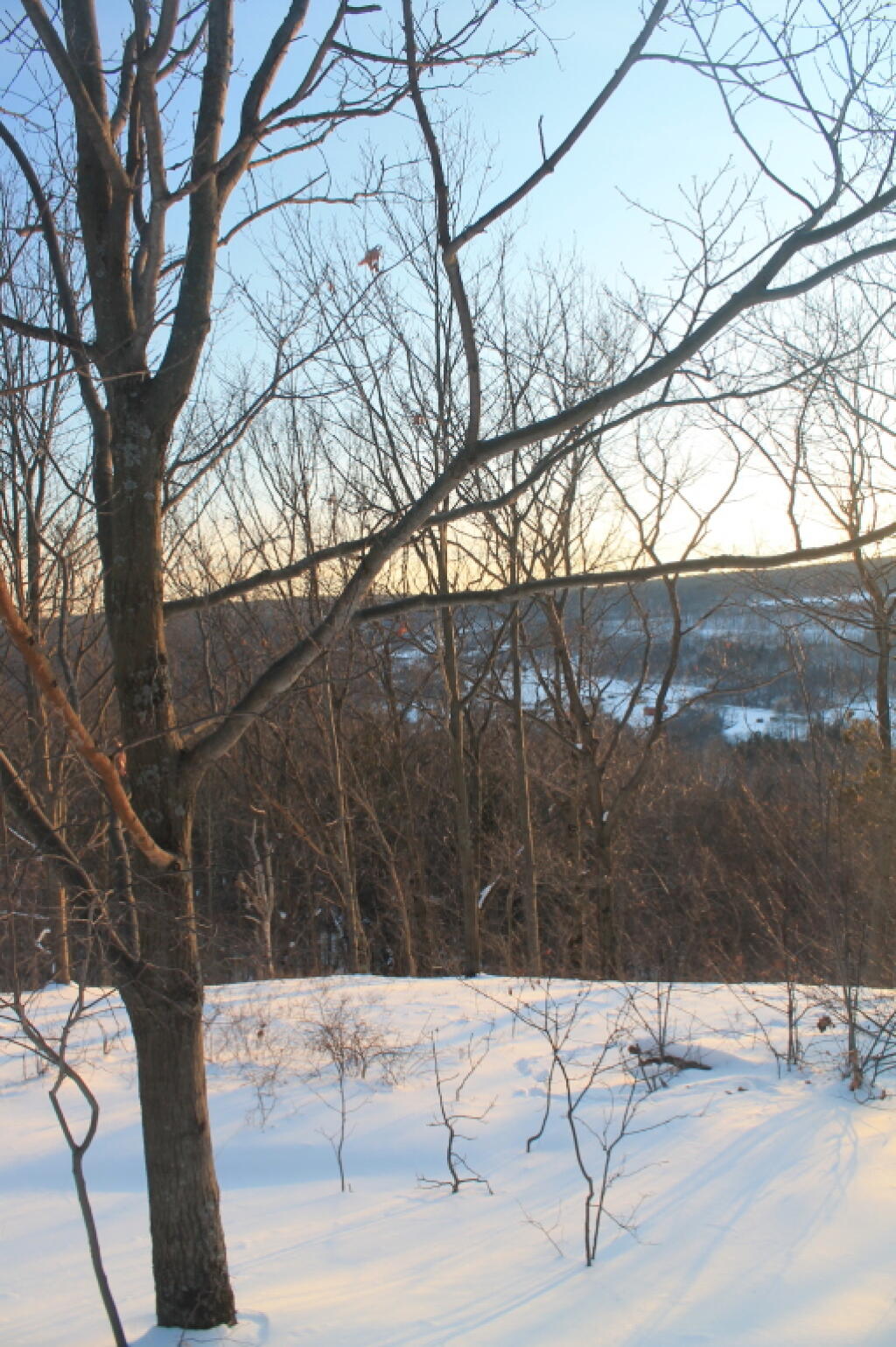 Photo: Photo.2013.02.10 18.59.29