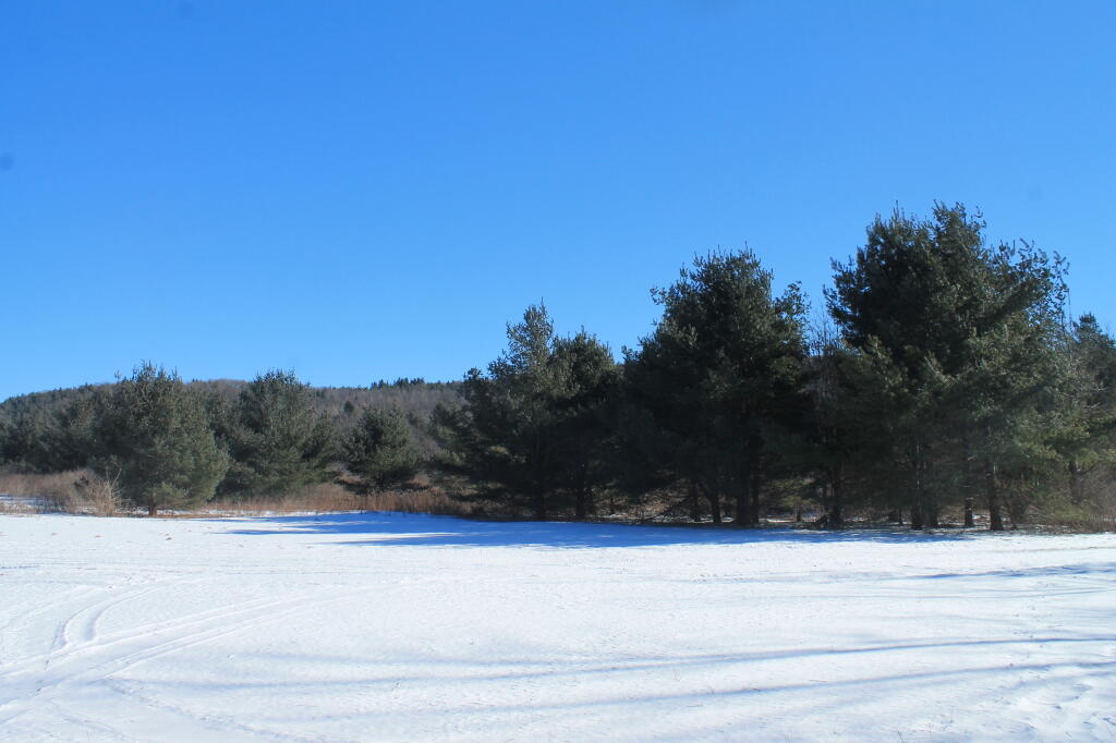 Photo: Photo.2013.02.18 16.06.45