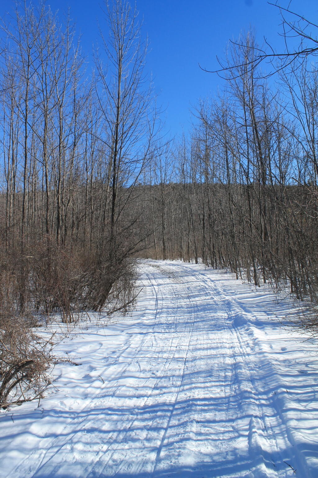 Photo: Photo.2013.02.18 16.11.27