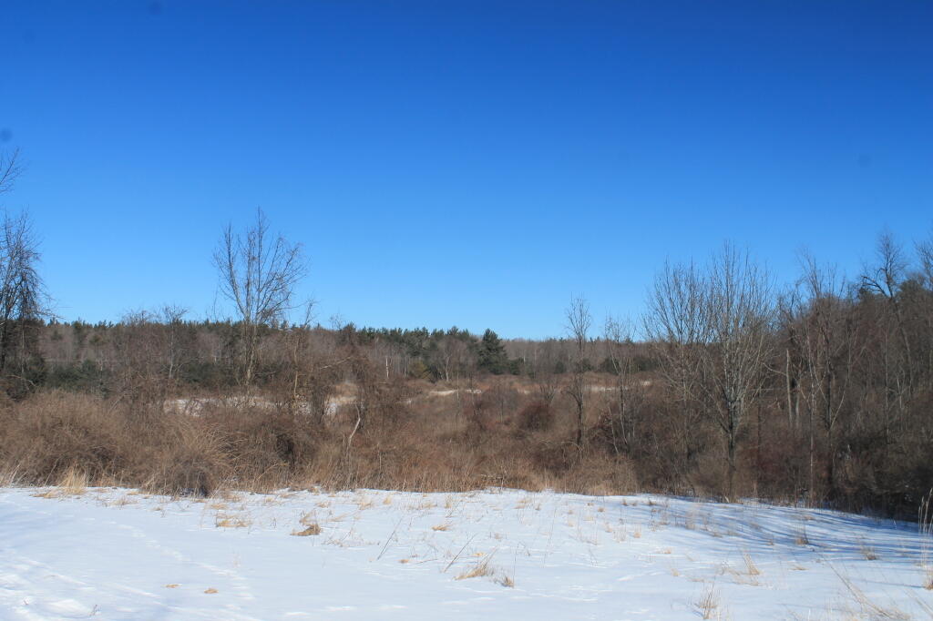 Photo: Winter's Afternoon