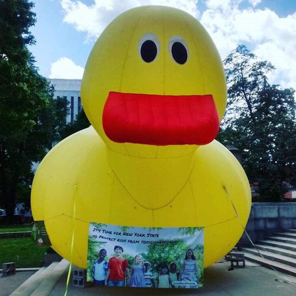 Photo: Duck
