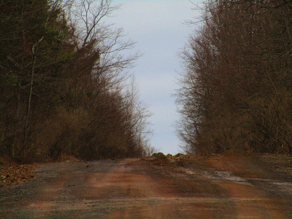 Photo: Rutted