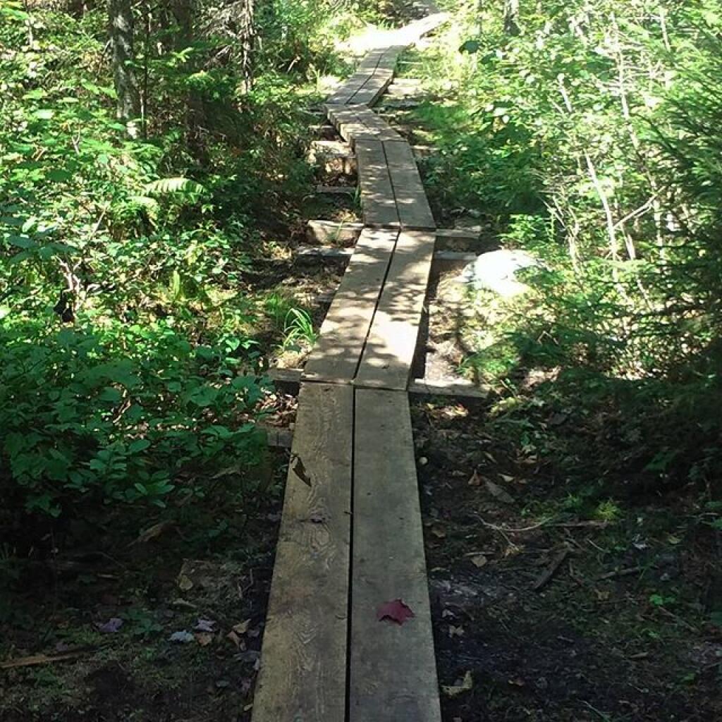 Photo: Before the wilderness boundary there is this great boardwalk