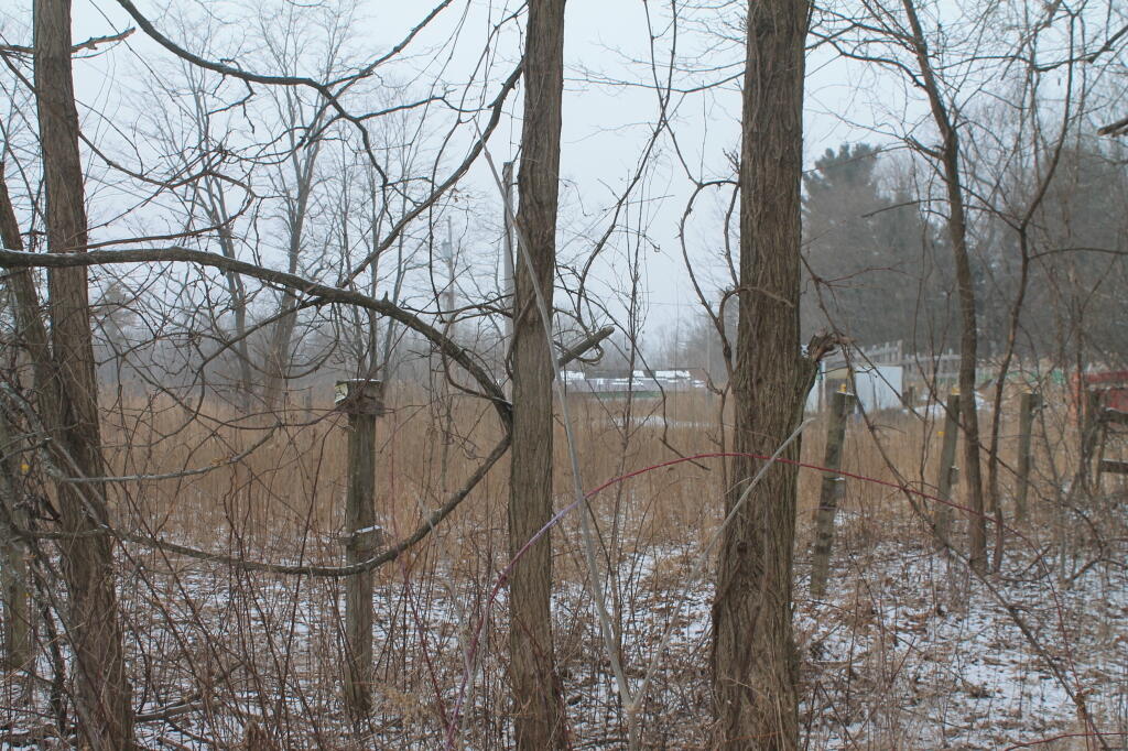 Photo: Stables Housing Development Parcel