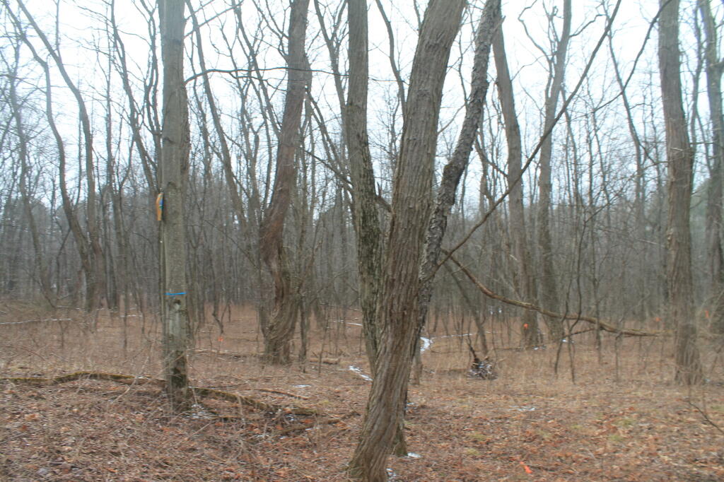 Photo: 40 Karner Road
