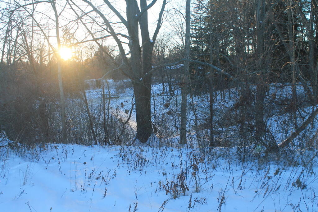Photo: So Far the Dumping Don't Look So Bad