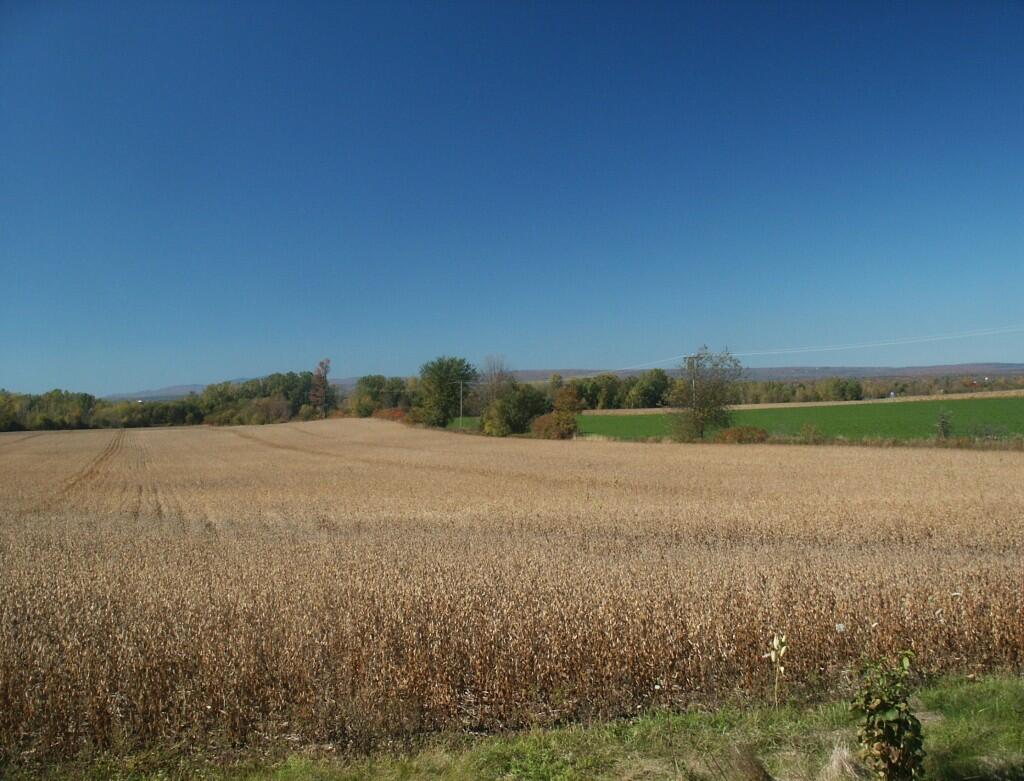 Photo: Farm Field