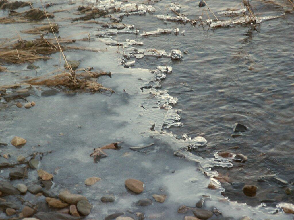Photo: Ice