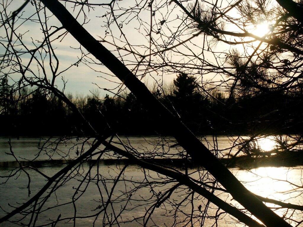 Photo: Saranac River through the Trees
