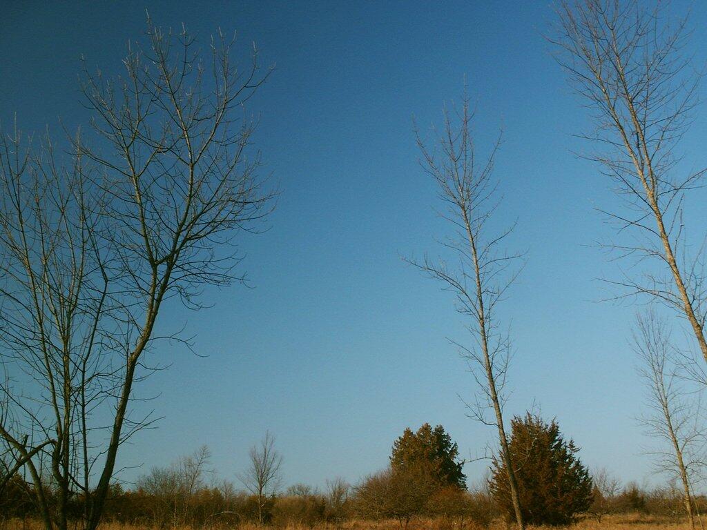 Photo: Upwards