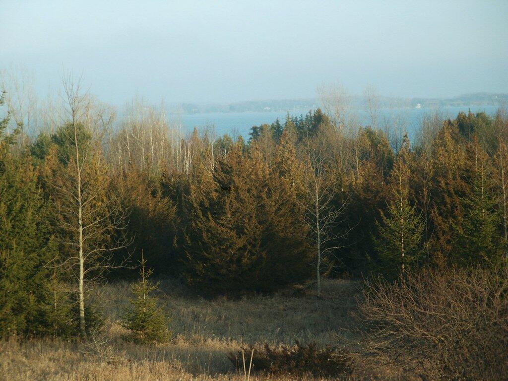 Photo: Long Point Hill (Color)