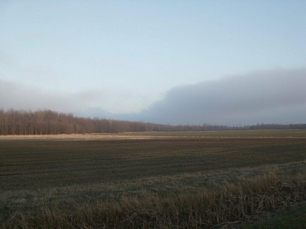 Photo: Farm Field Along Lake Shore Road