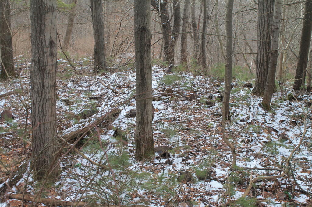Photo: Cans and Random Debris