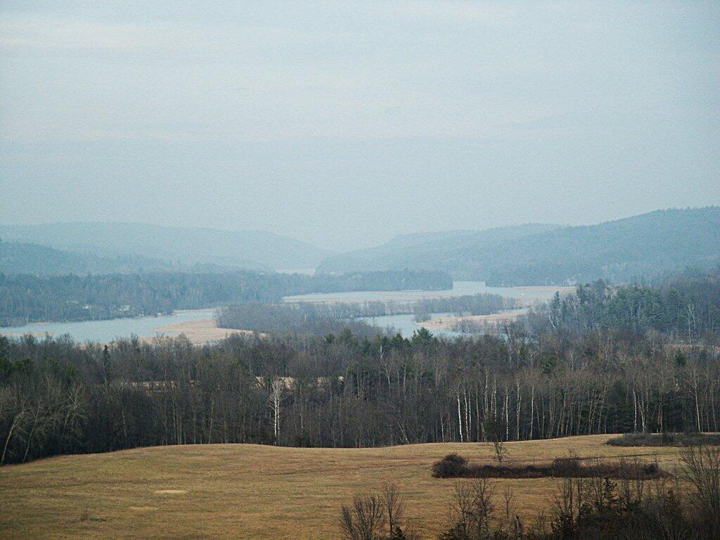 Photo: Marshy Portion of Lower Lake Champlain