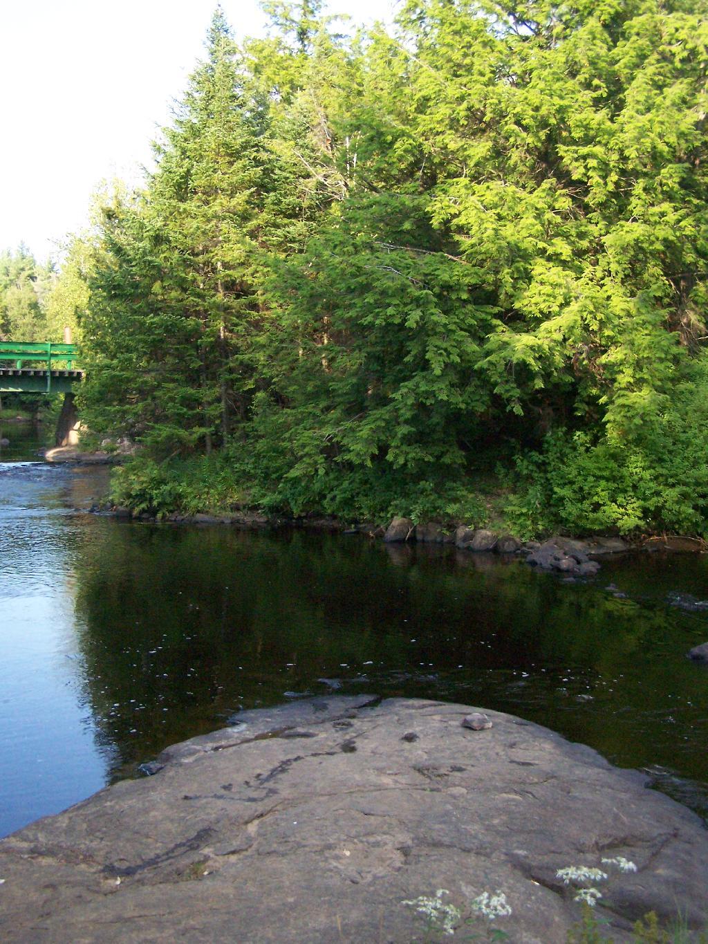 Deer River State Forest – Andy Arthur.org