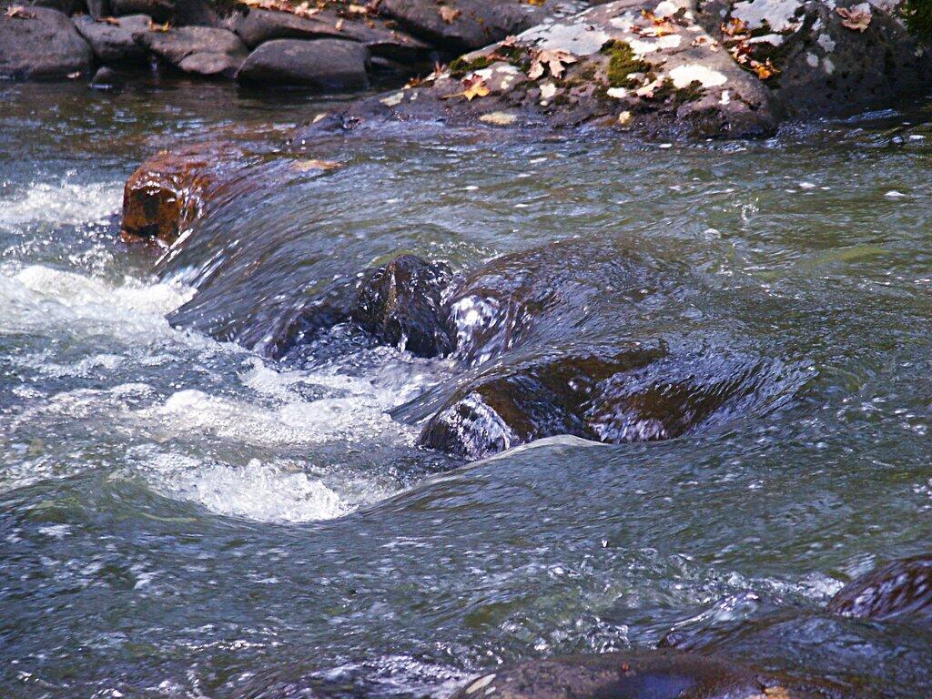 Photo: Creek