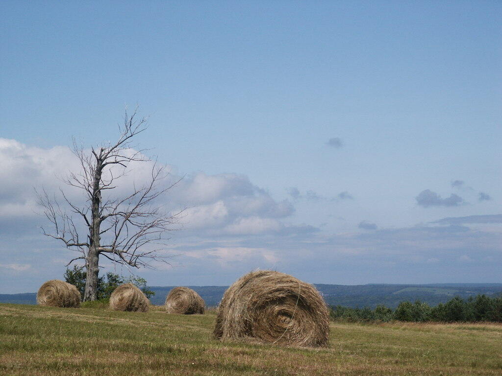 Photo: Haybales