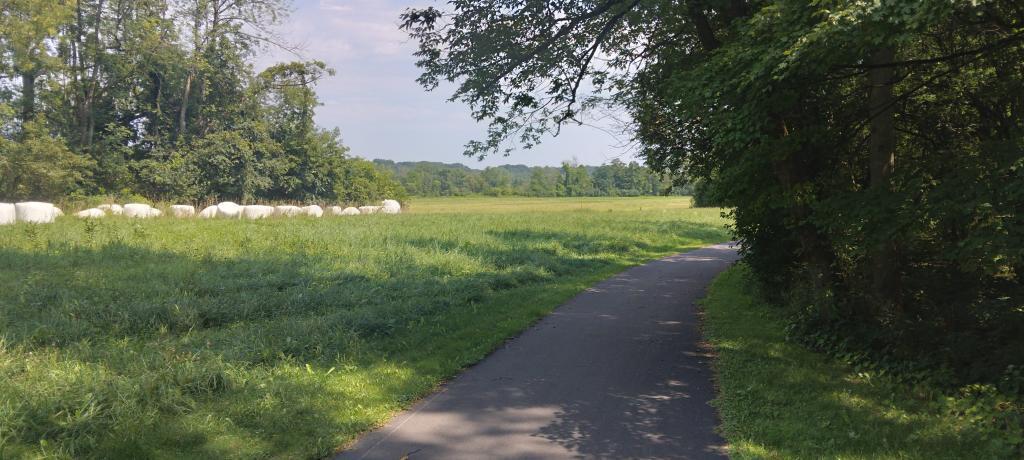 Photo: Bike Path - Canalway