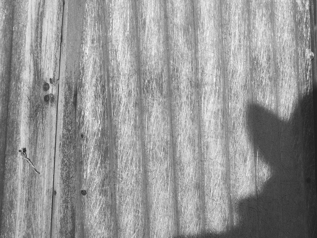 Photo: Shadow
