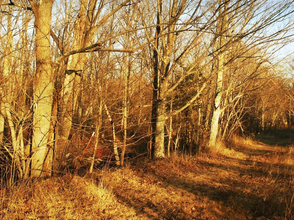 Photo: Untitled
