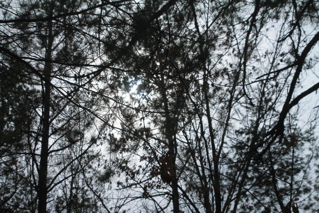 Photo: Photo.2013.03.03 15.06.02