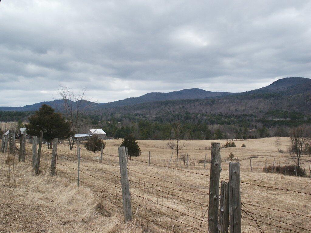 Photo: Fence Line