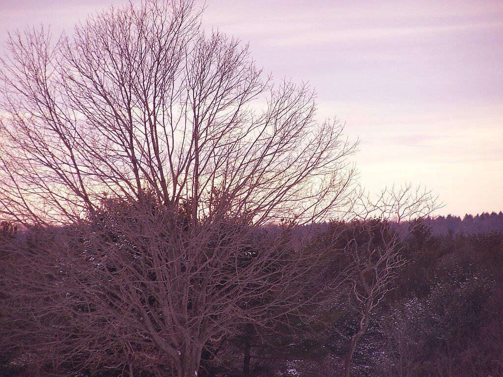 Photo: Red Sky