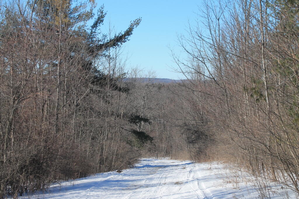 Photo: Evening at Taconic Crest