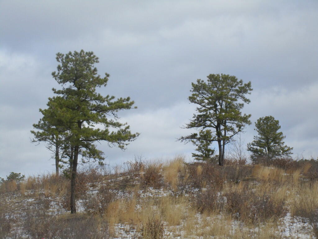 Photo: Cloudy Day