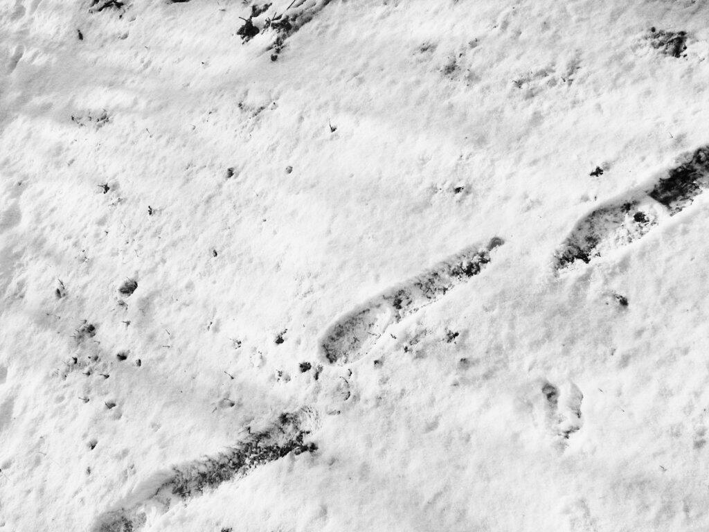 Photo: Man's Footprint