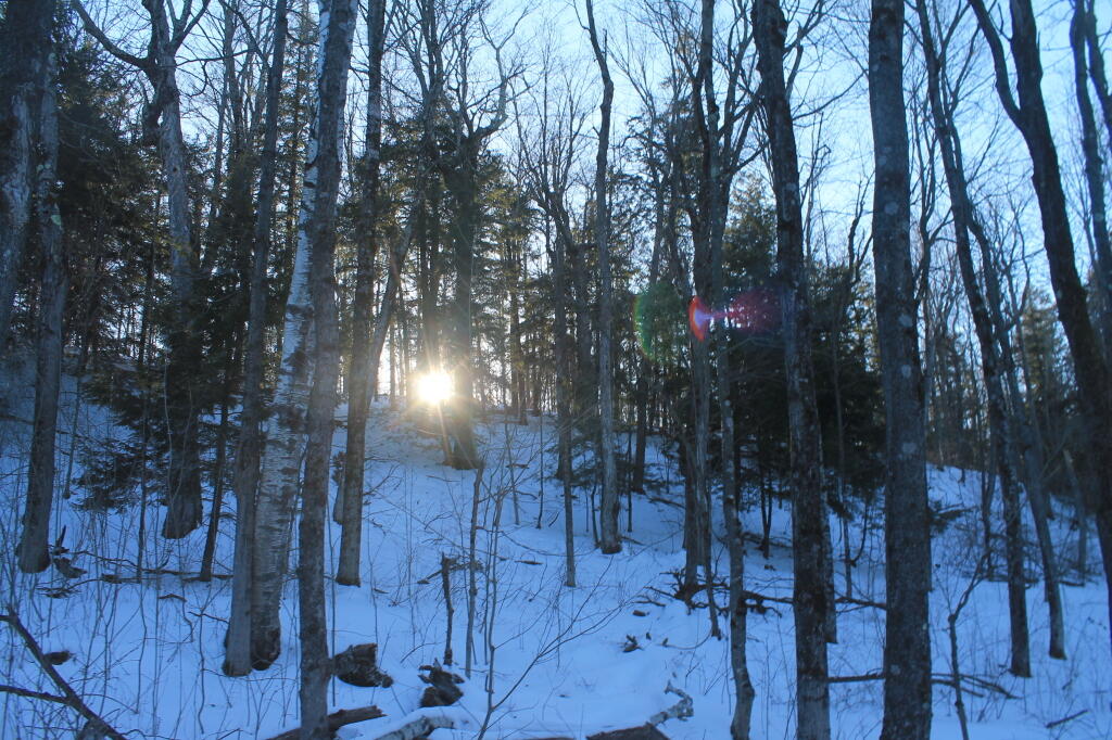Photo: Sun Peaking Over