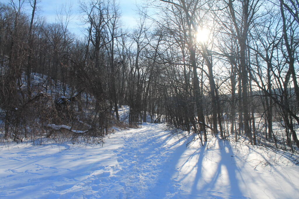 Photo: Sunny February Afternoon