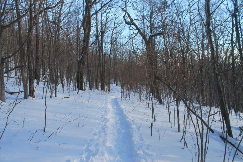 Photo: Photo.2013.02.10 18.02.20