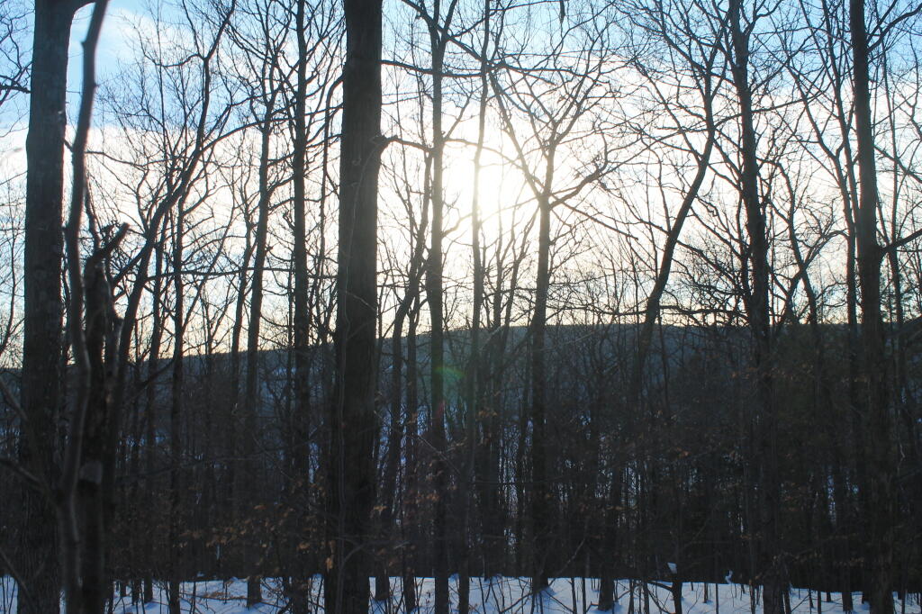 Photo: Photo.2013.02.10 18.06.17